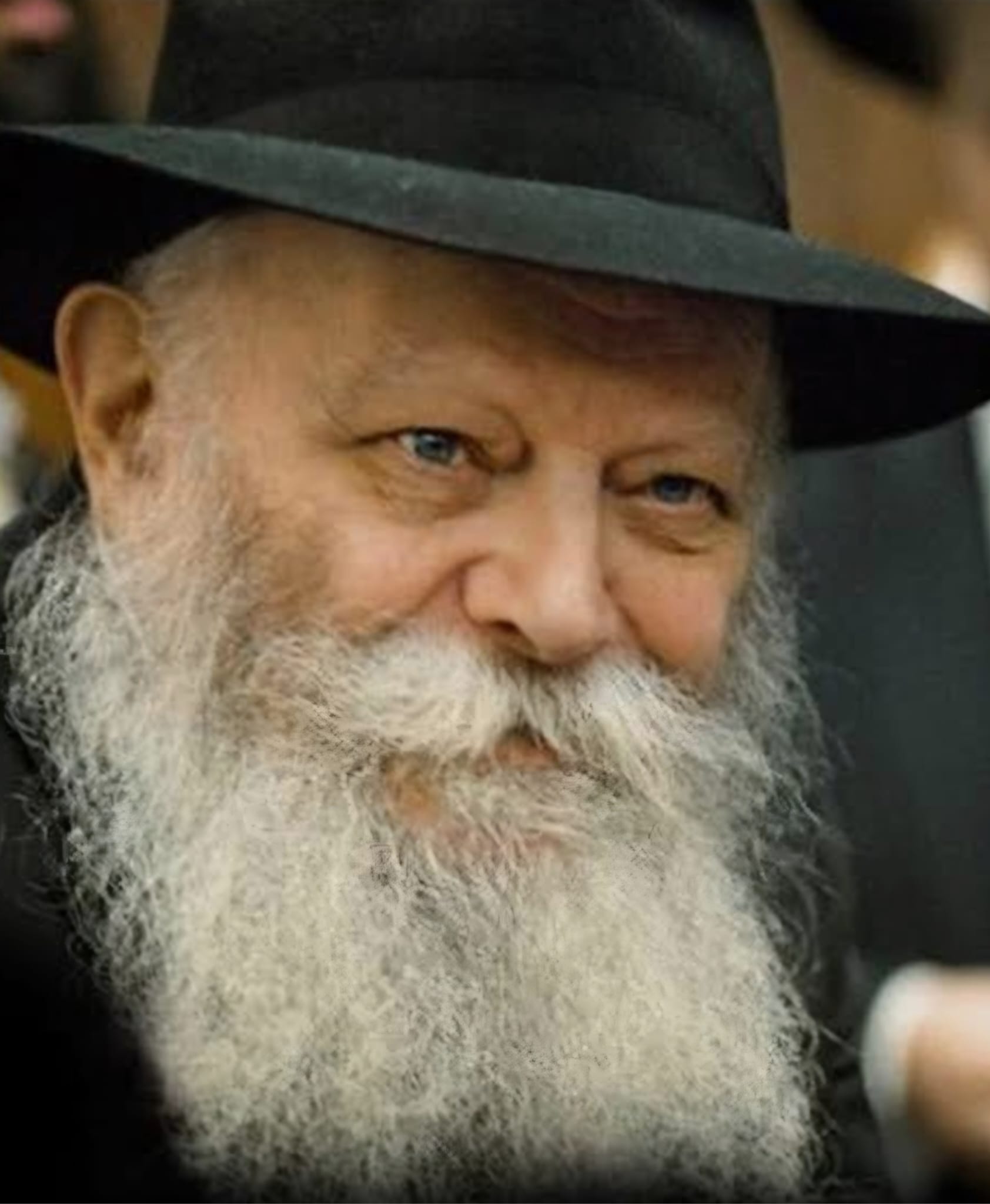 Formal portrait of the Lubavitcher Rebbe, Rabbi Menachem Mendel Schneerson — Dobavyty